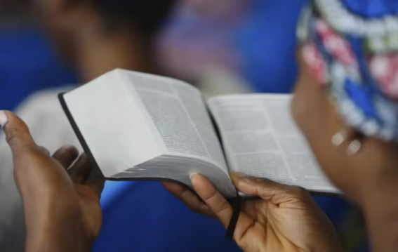 Texas Schools Embrace Bluebonnet Curriculum